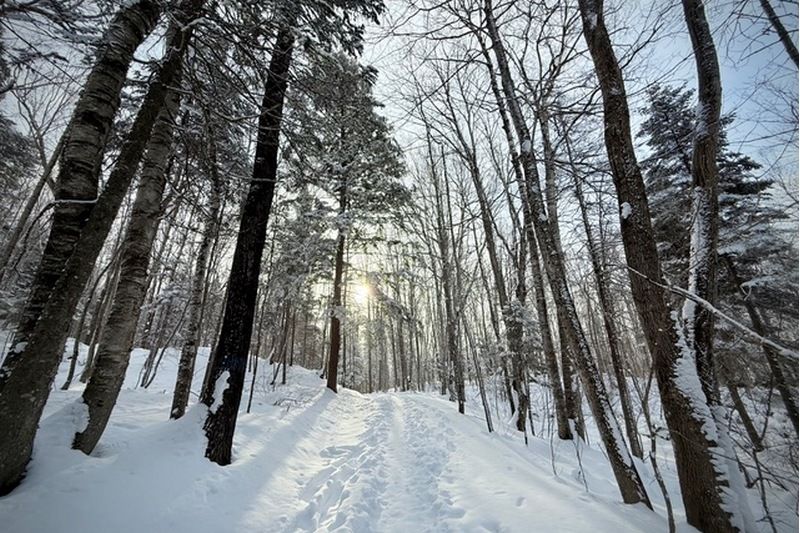 Ouverture hivernale des sentiers du Parc Harold F. Baldwin à Coaticook